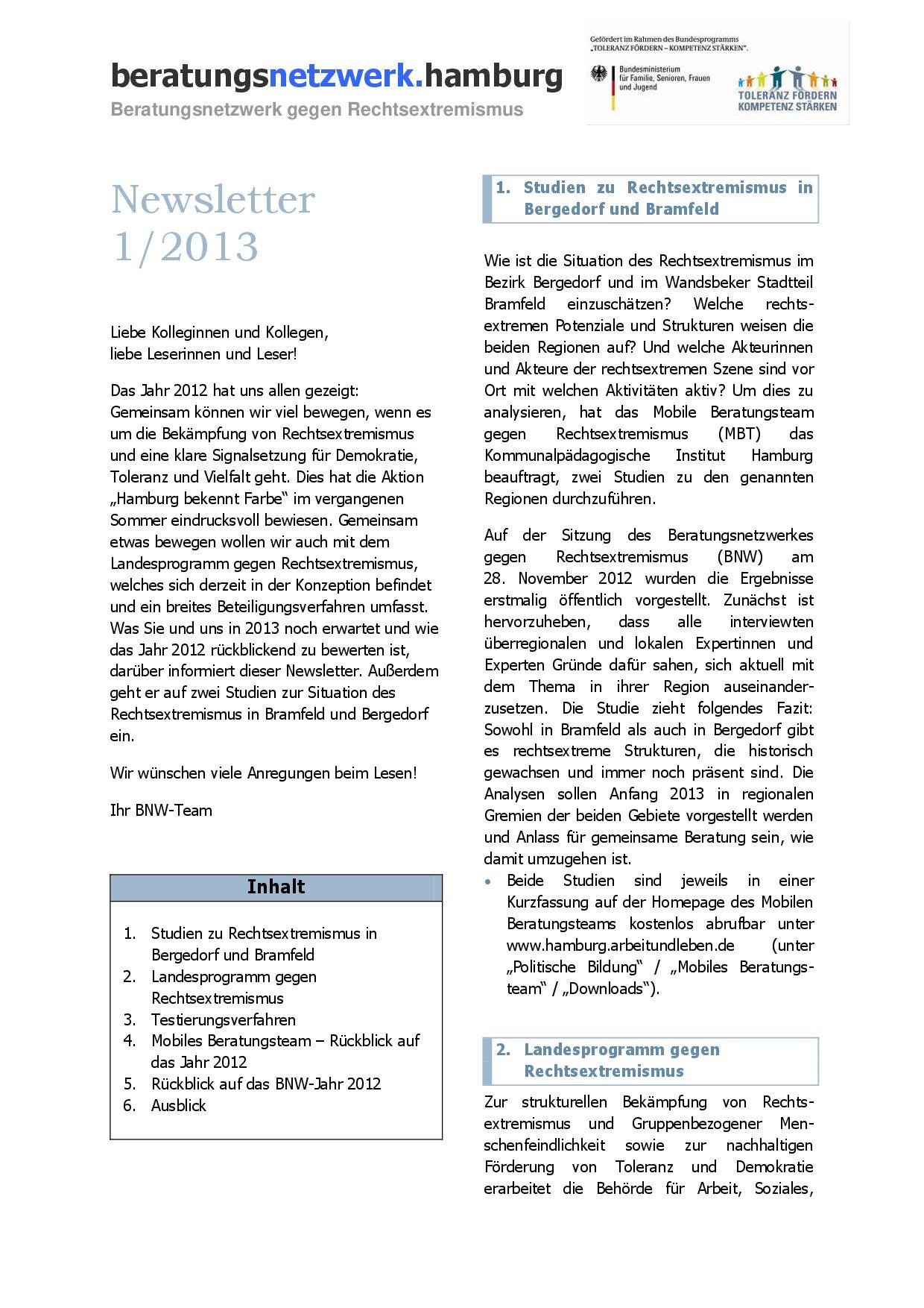 Cover von Newsletter 1/2013