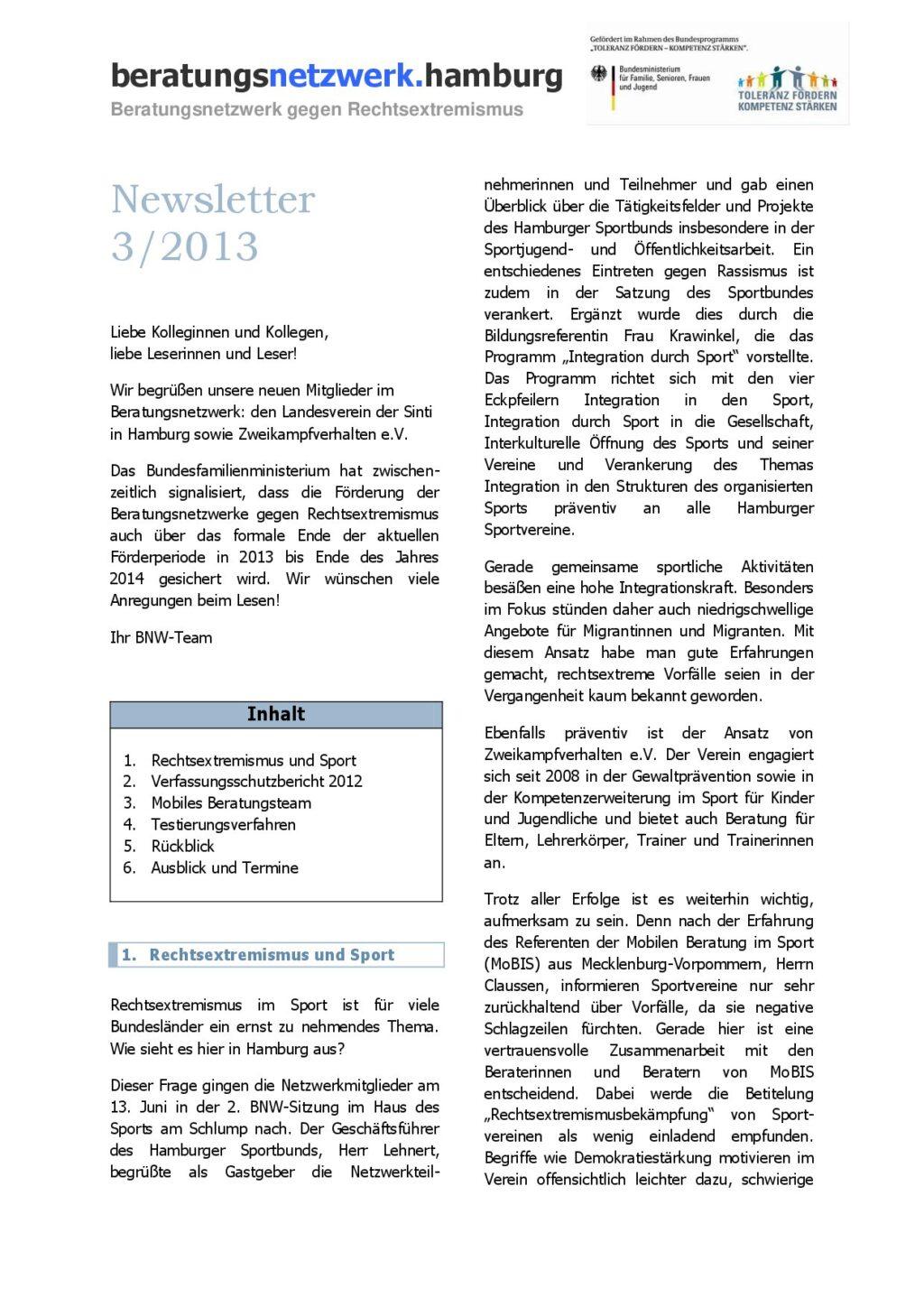 Cover von Newsletter 3/2013