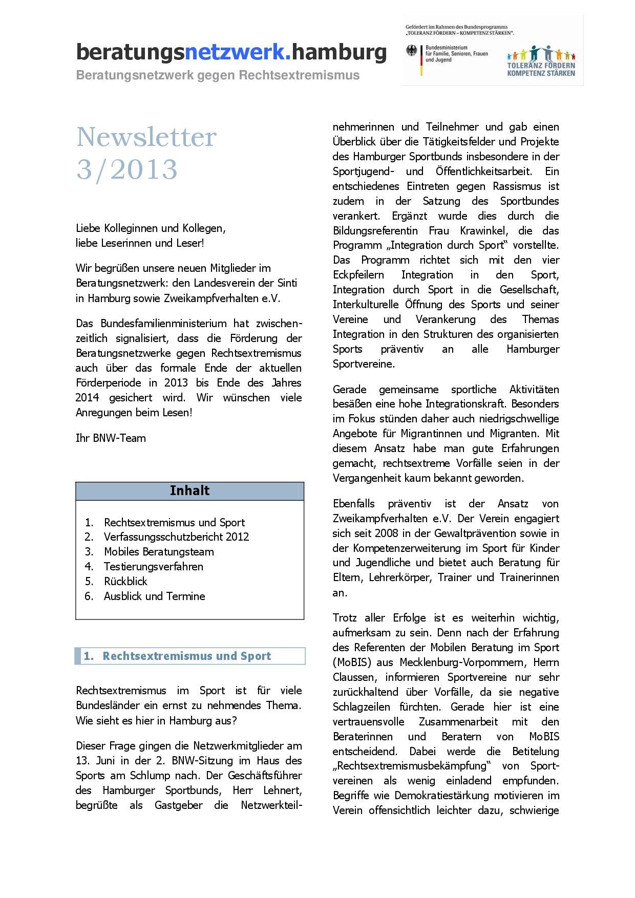 Cover von Newsletter 3/2013