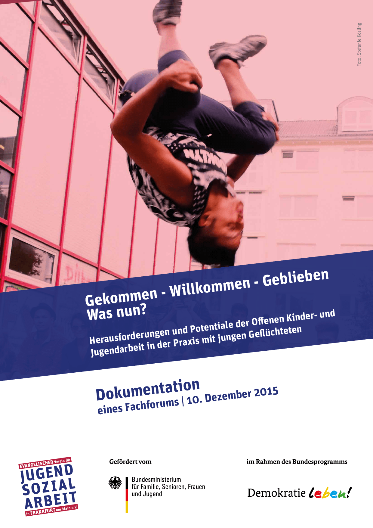 Cover von Gekommen – Willkommen – Geblieben – Was nun? Herausforderungen und Potentiale der Offenen Kinder- und Jugendarbeit in der Praxis mit jungen Geflüchteten. Dokumentation eines Fachforums, 10. Dezember 2015 in Sankt Peter