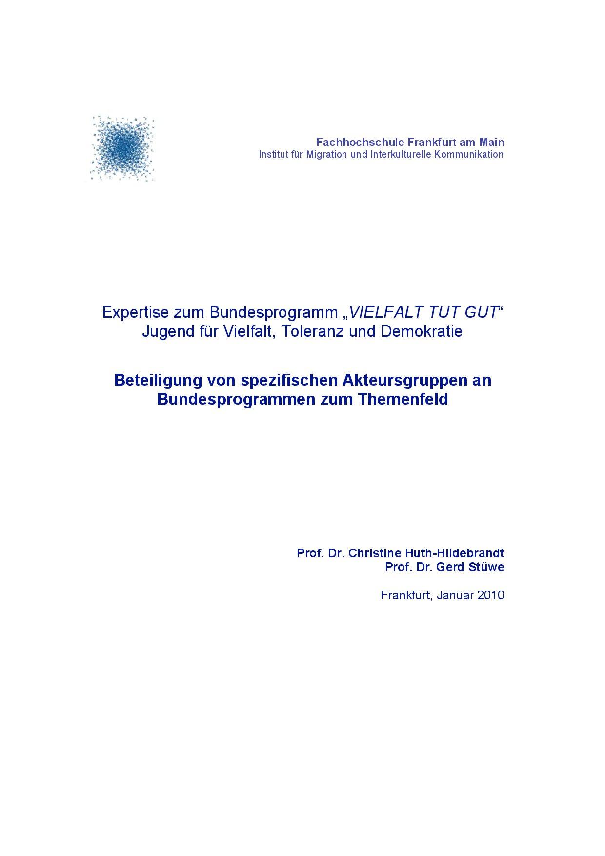 Cover von Expertise zum Bundesprogramm "VIELFALT TUT GUT: Jugend für Vielfalt, Toleranz und Demokratie" Beteiligung von spezifischen Akteursgruppen an Bundesprogrammen zum Themenfeld