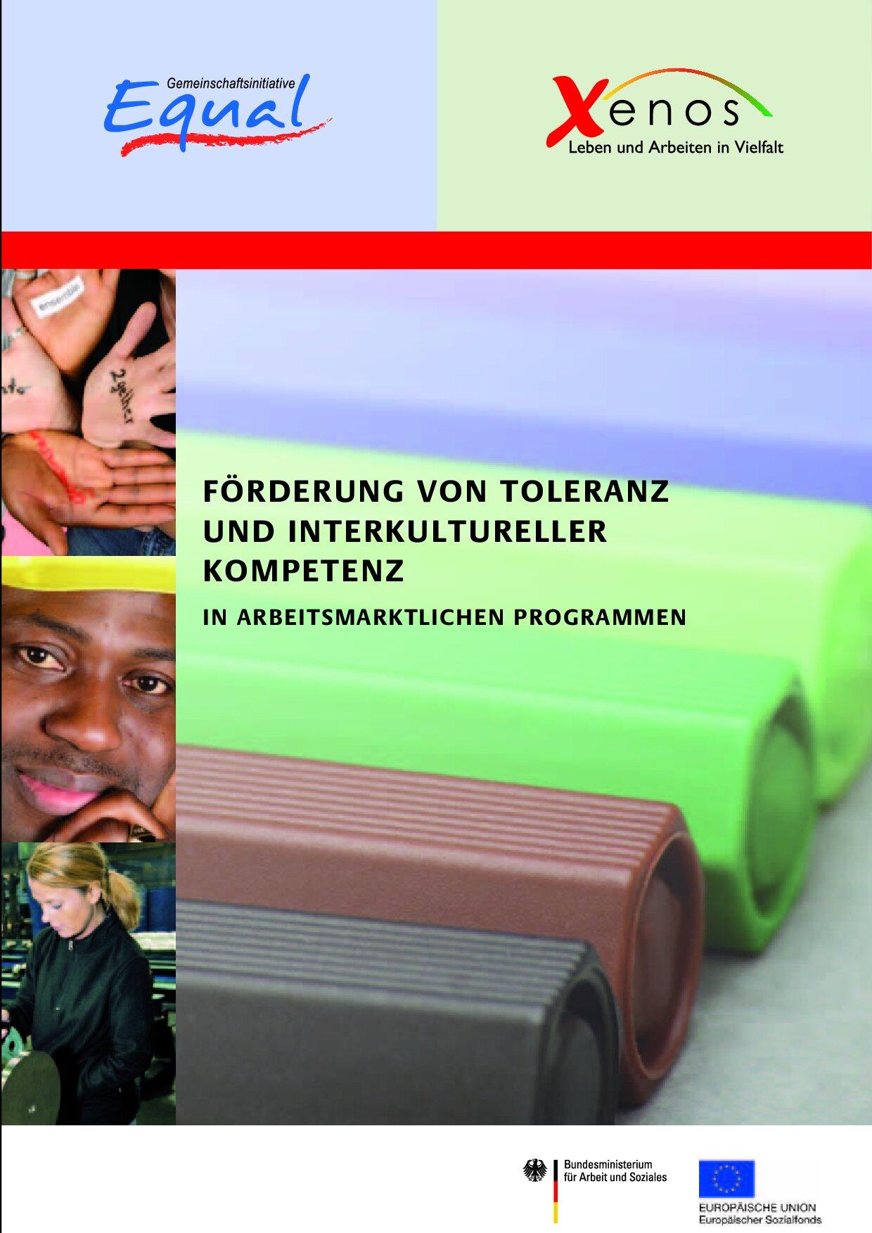 Cover von Förderung von Toleranz und interkultureller Kompetenz in arbeitsmarktlichen Programmen