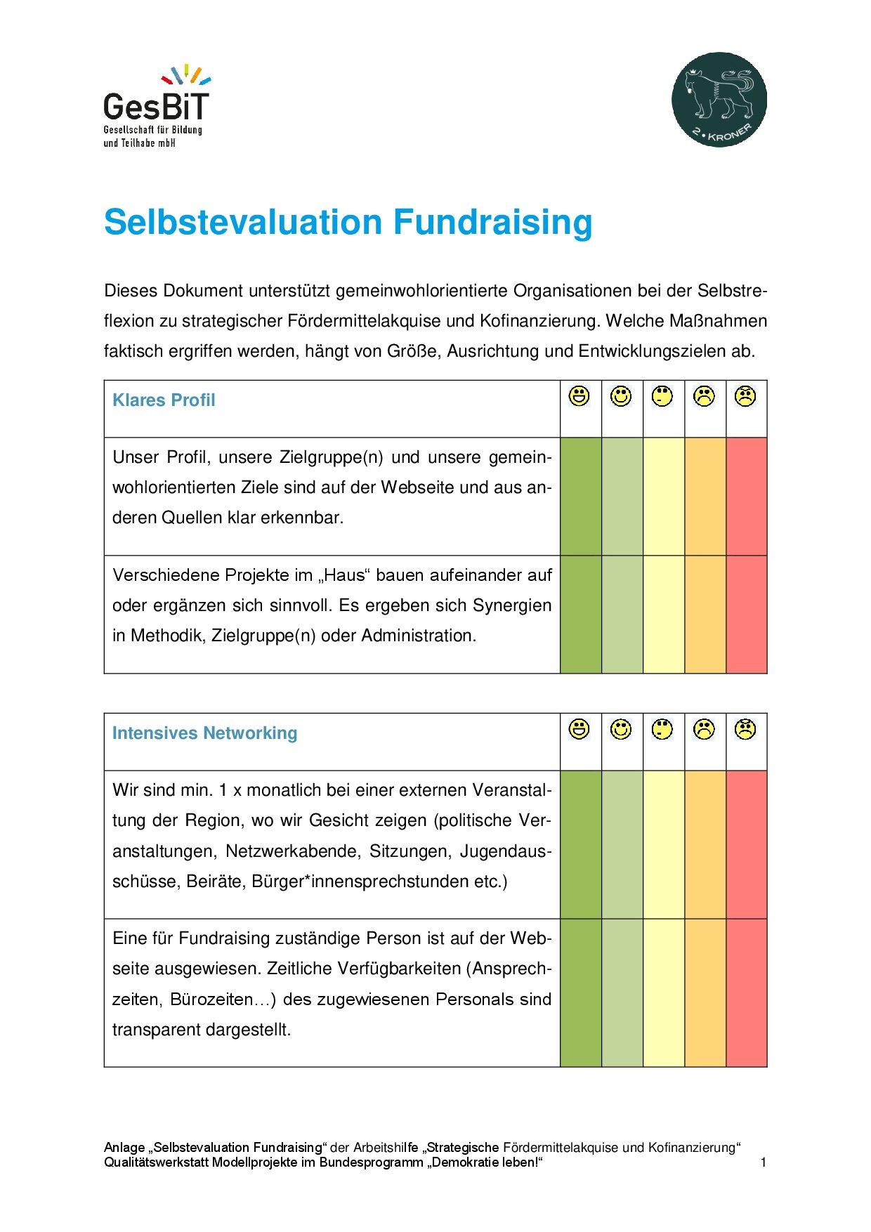 Cover von Selbstevaluation Fundraising