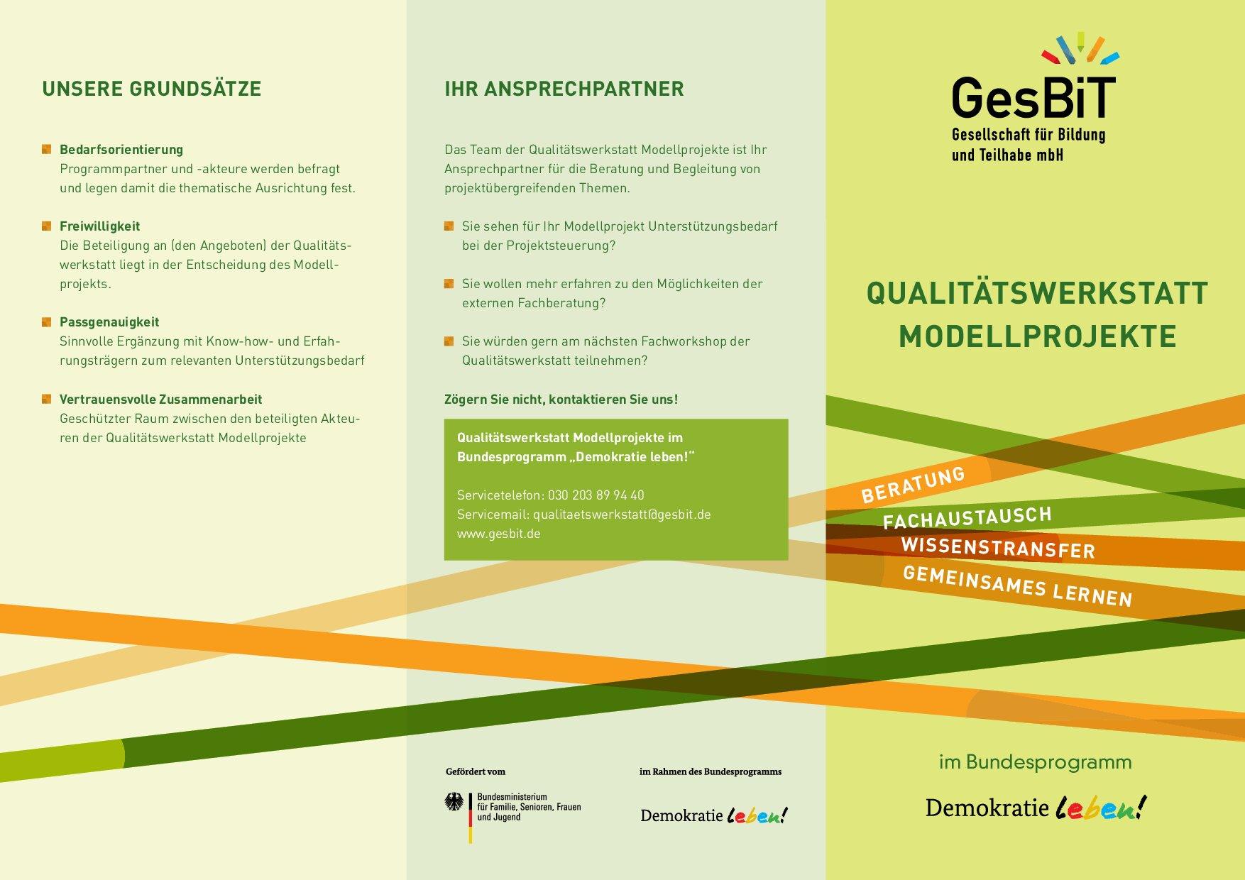 Cover von Qualitätswerkstatt Modellprojekte