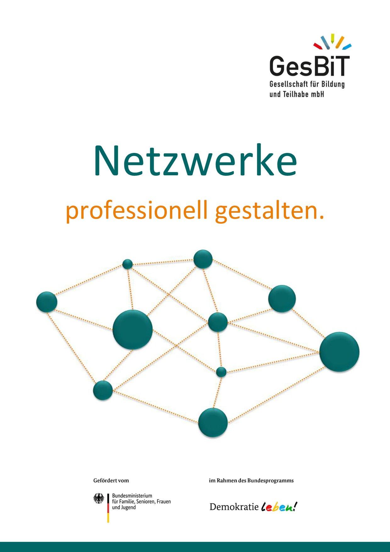 Cover von Netzwerke professionell gestalten