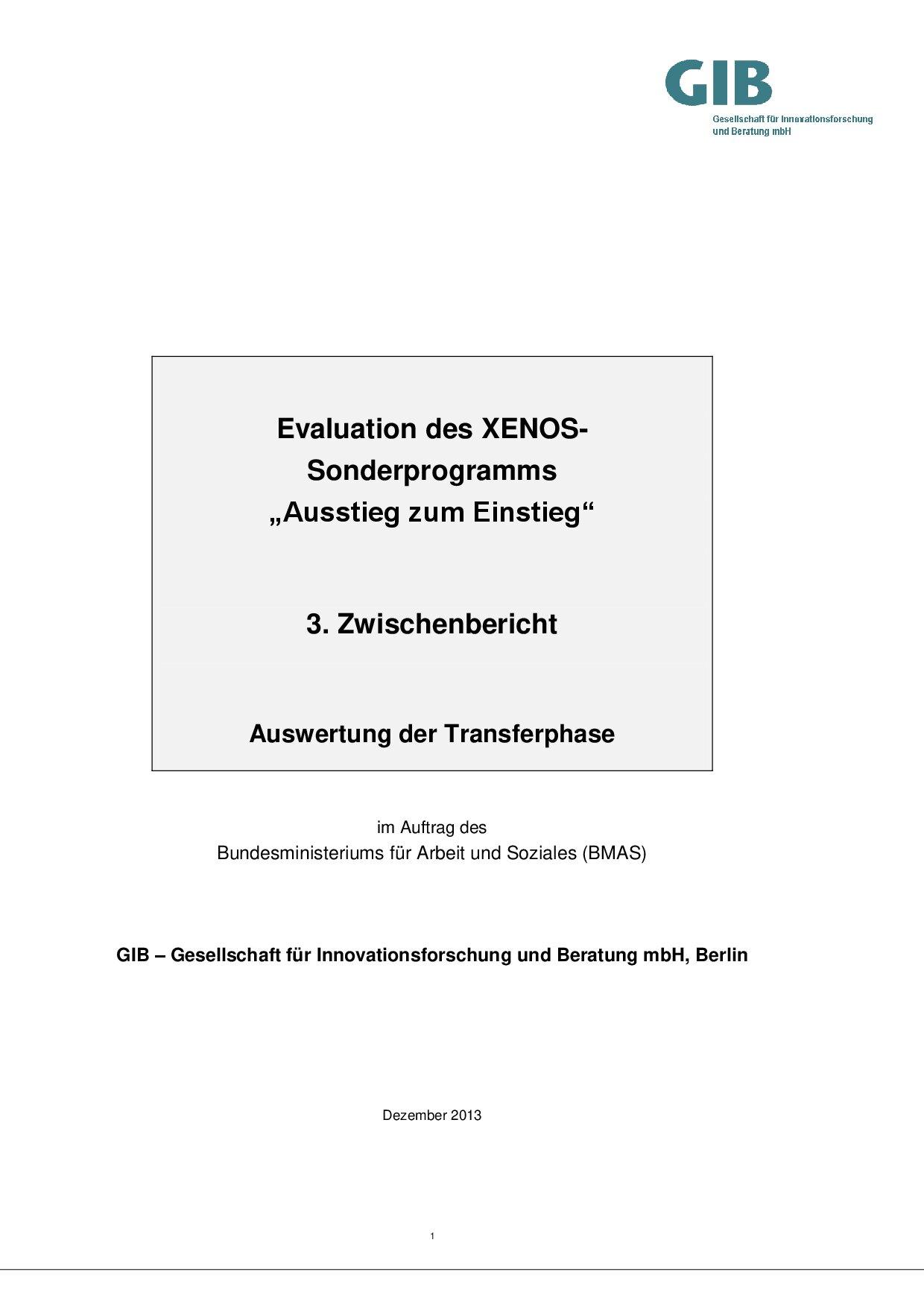 Cover von Evaluation des XENOS-Sonderprogramms "Ausstieg zum Einstieg". 3. Zwischenbricht
