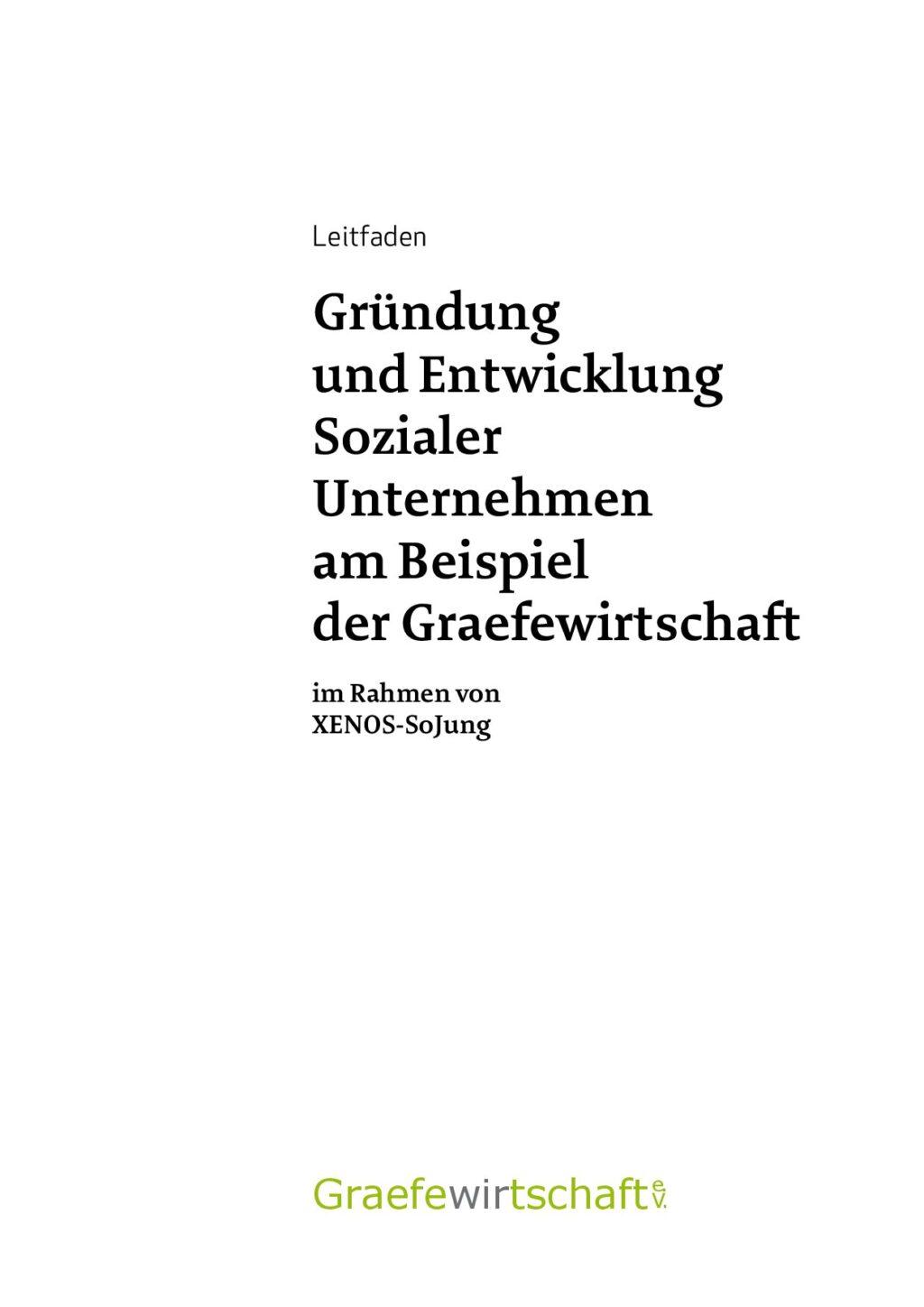 Cover von Gründung und Entwicklung Sozialer Unternehmen am Beispiel der Graefewirtschaft. Leitfaden