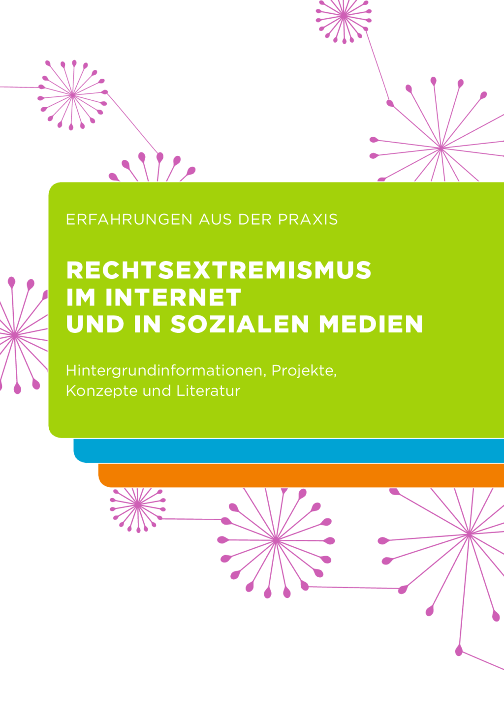 Cover von Rechtsextremismus im Internet und in sozialen Netzwerken. Hintergrundinformationen, Projekte, Konzepte und Literatur
