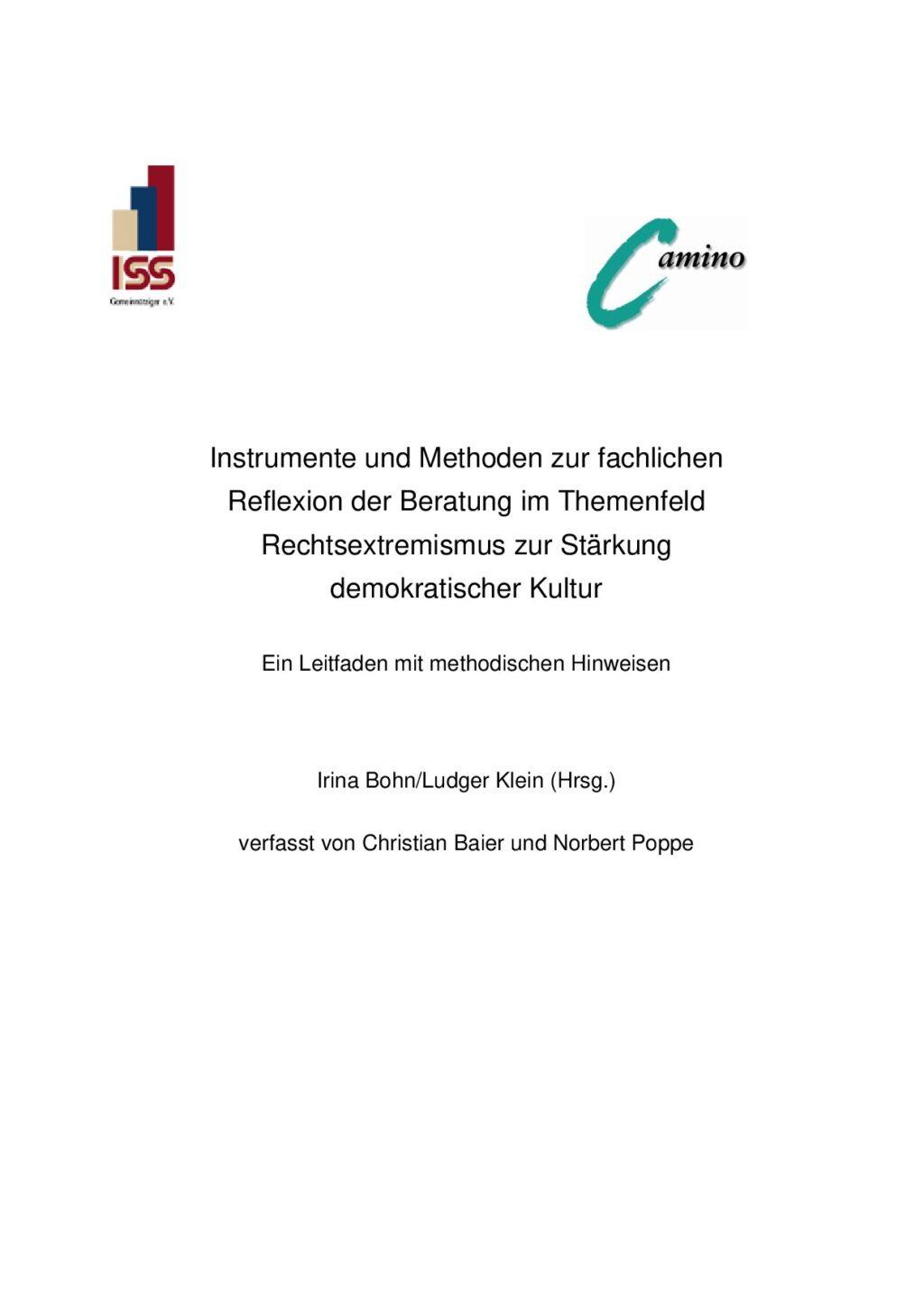 Cover von Instrumente und Methoden zur fachlichen Reflexion und Beratung im Themenfeld Rechtsextremismus zur Stärkung der demokratischen Kultur. Ein Leitfaden mit methodischen Hinweisen