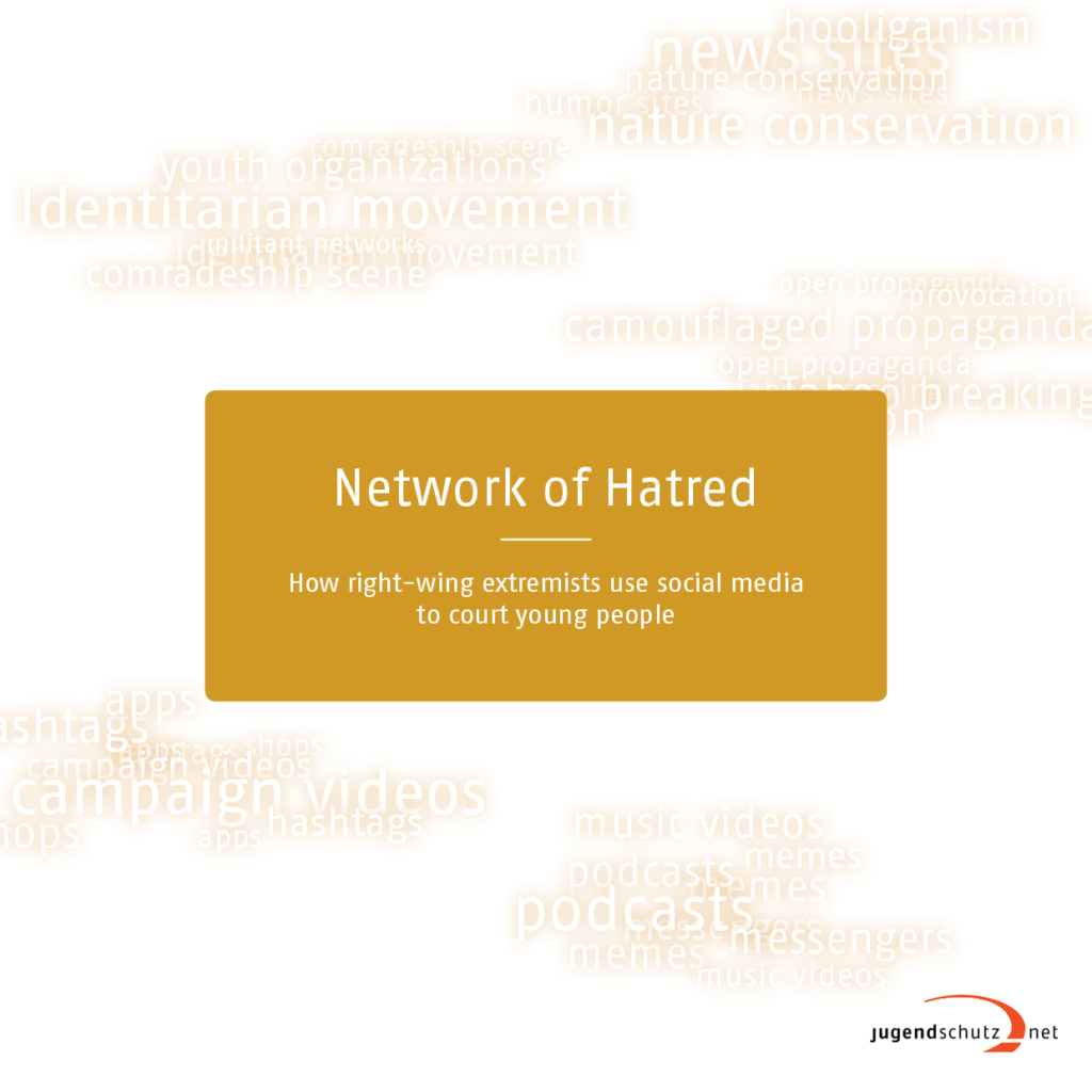 Cover von Network of Hatred. How right-wing extremists use social media to court young people