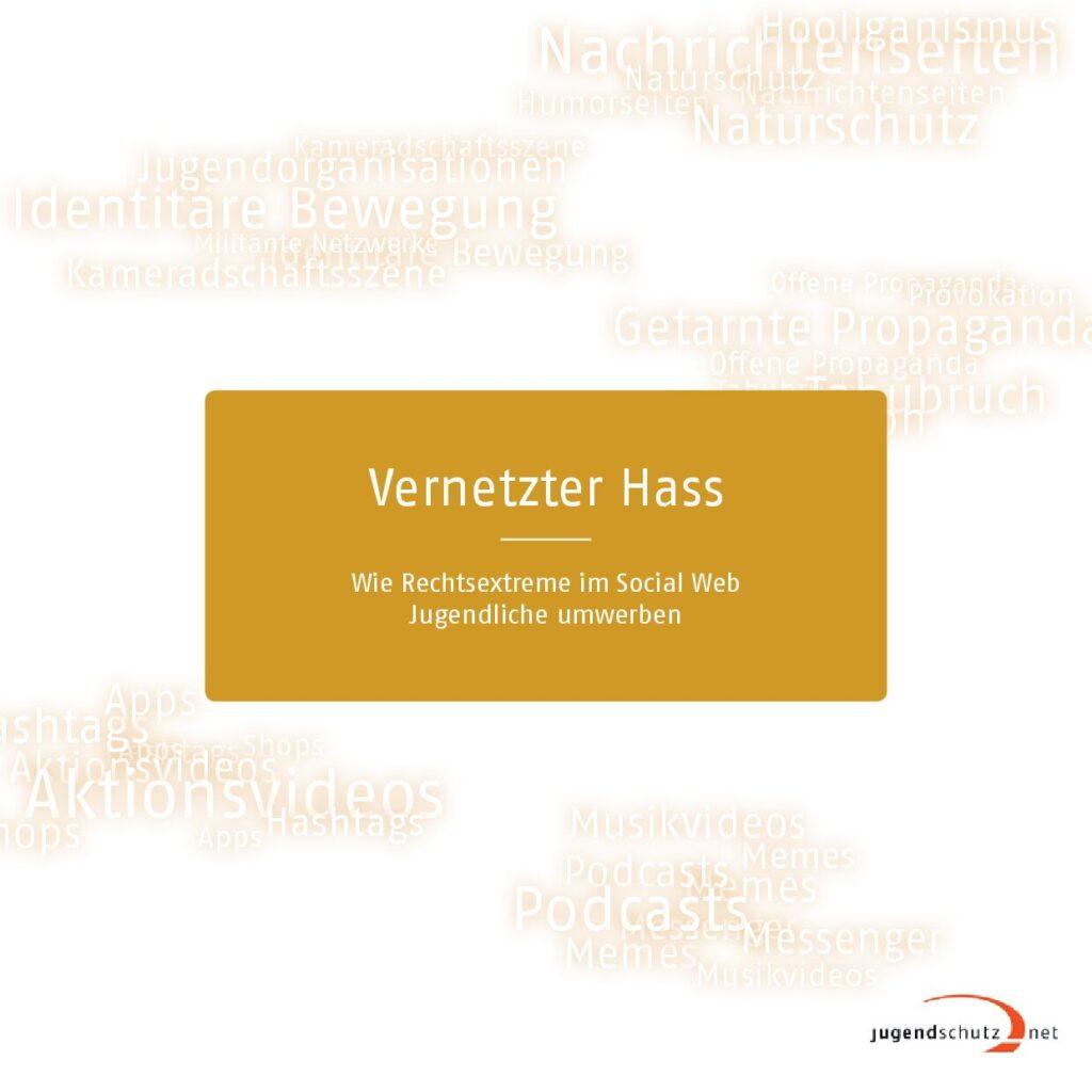 Cover von Vernetzter Hass – Wie Rechtsextreme im Social Web Jugendliche umwerben