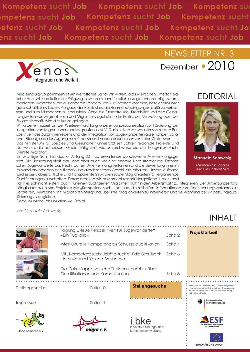 Cover von Kompetenz sucht Job. Newsletter Nr. 3 Dezember 2010