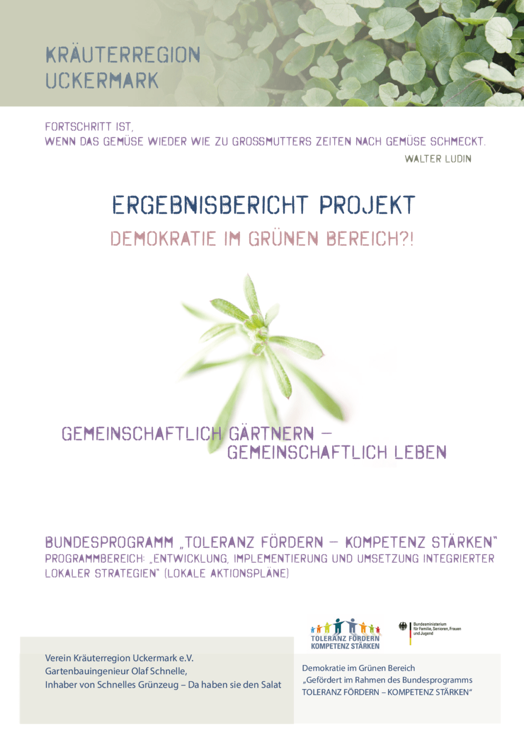 Cover von Ergebnisbericht Projekt Demokratie im Grünen Bereich? Gemeinschaftlich Gärtnern – Gemeinschaftlich Leben