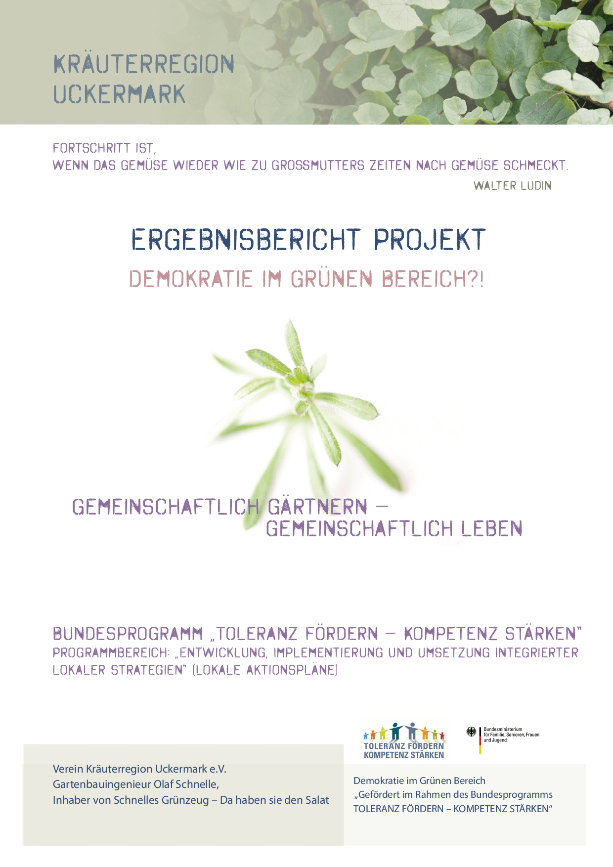 Cover von Ergebnisbericht Projekt Demokratie im Grünen Bereich? Gemeinschaftlich Gärtnern – Gemeinschaftlich Leben