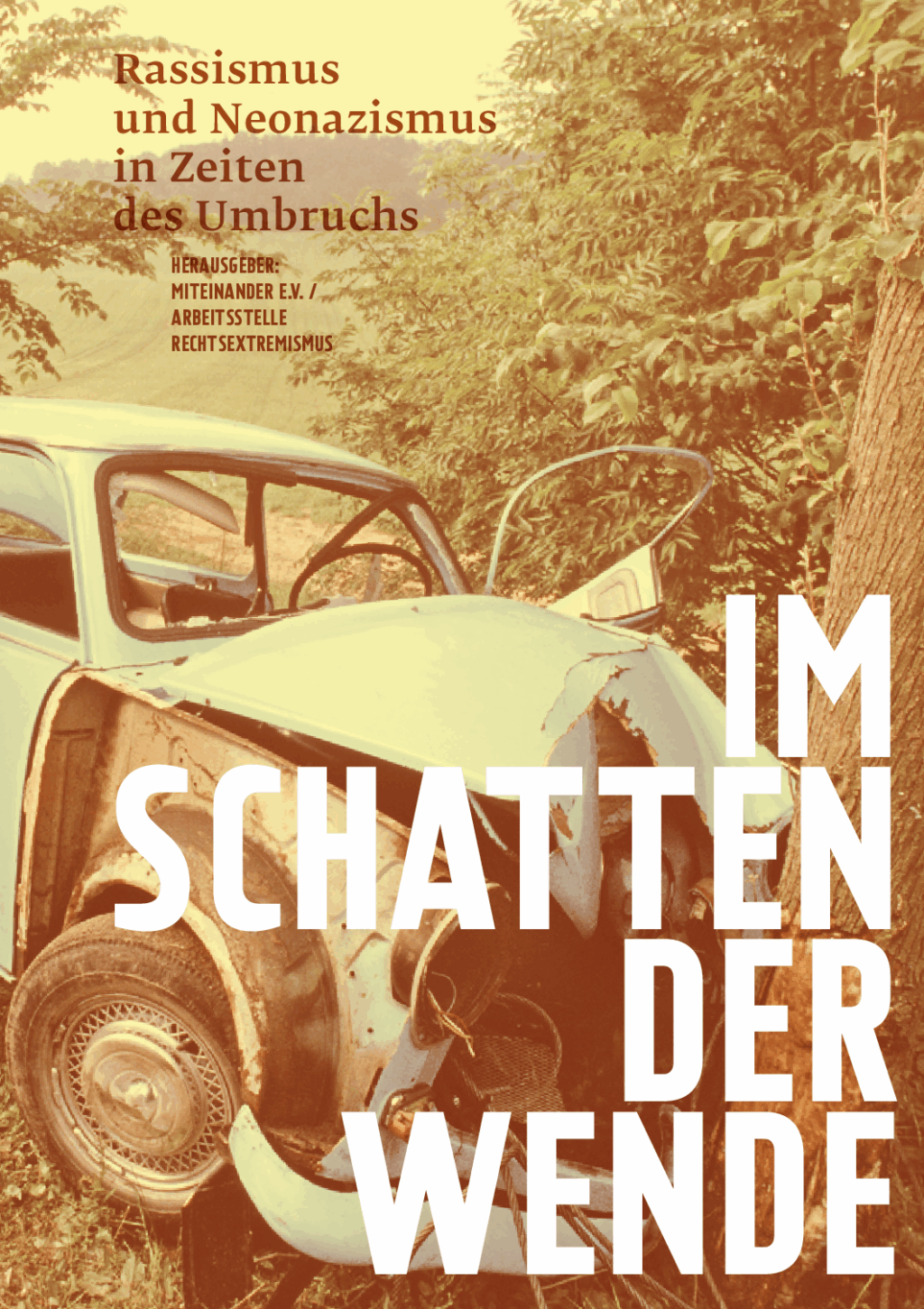 Cover von Im Schatten der Wende. Rassismus und Neonazismus in Zeiten des Umbruchs