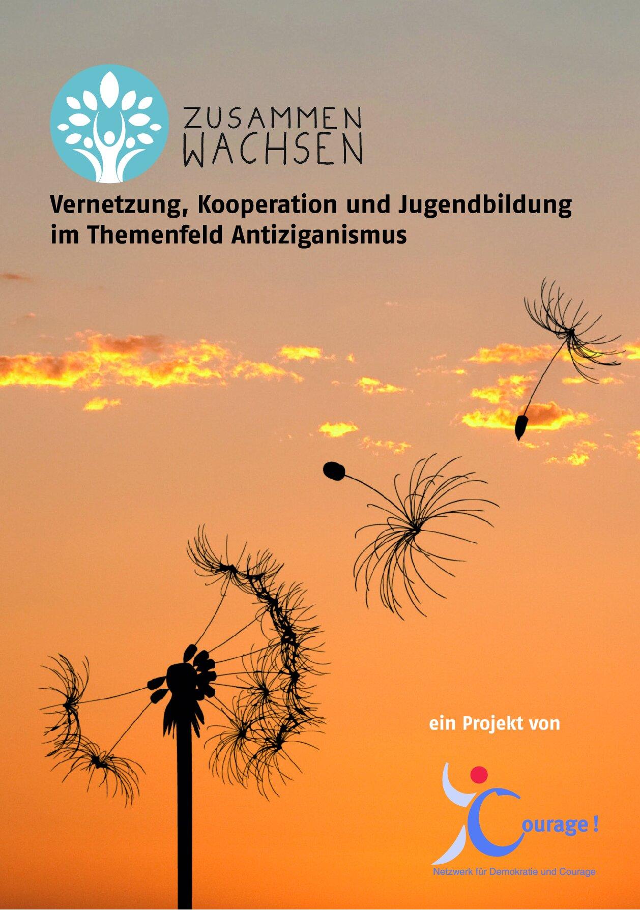 Cover von Zusammenwachsen. Vernetzung, Kooperation und Jugendbildung im Themenfeld Antiziganismus