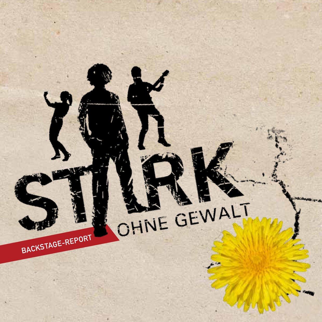 Cover von Stark ohne Gewalt. Backstage-Report