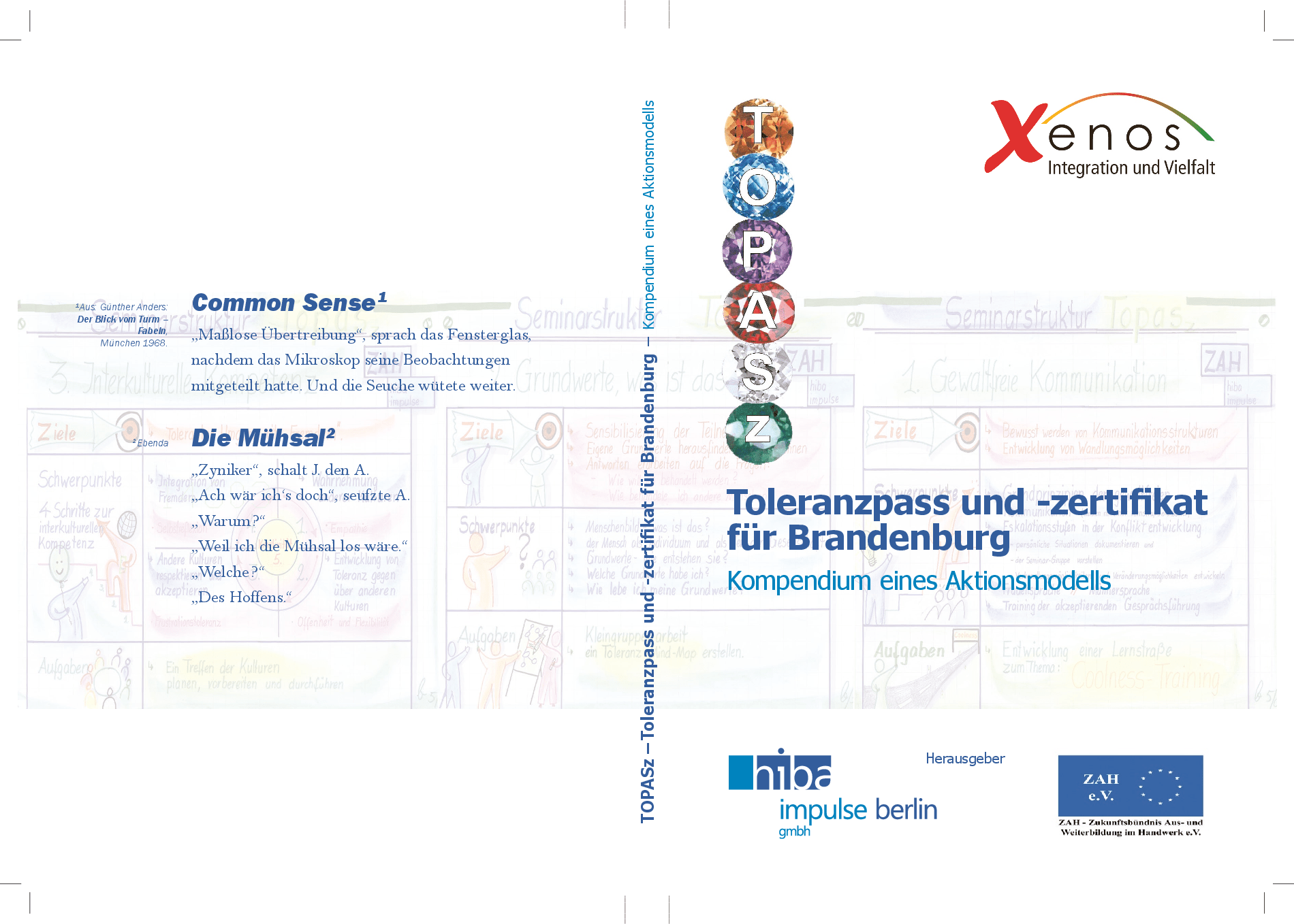 Cover von TOPASZ. Toleranzpass und -zertifikat für Brandenburg. Kompendium eines Aktionsmodells