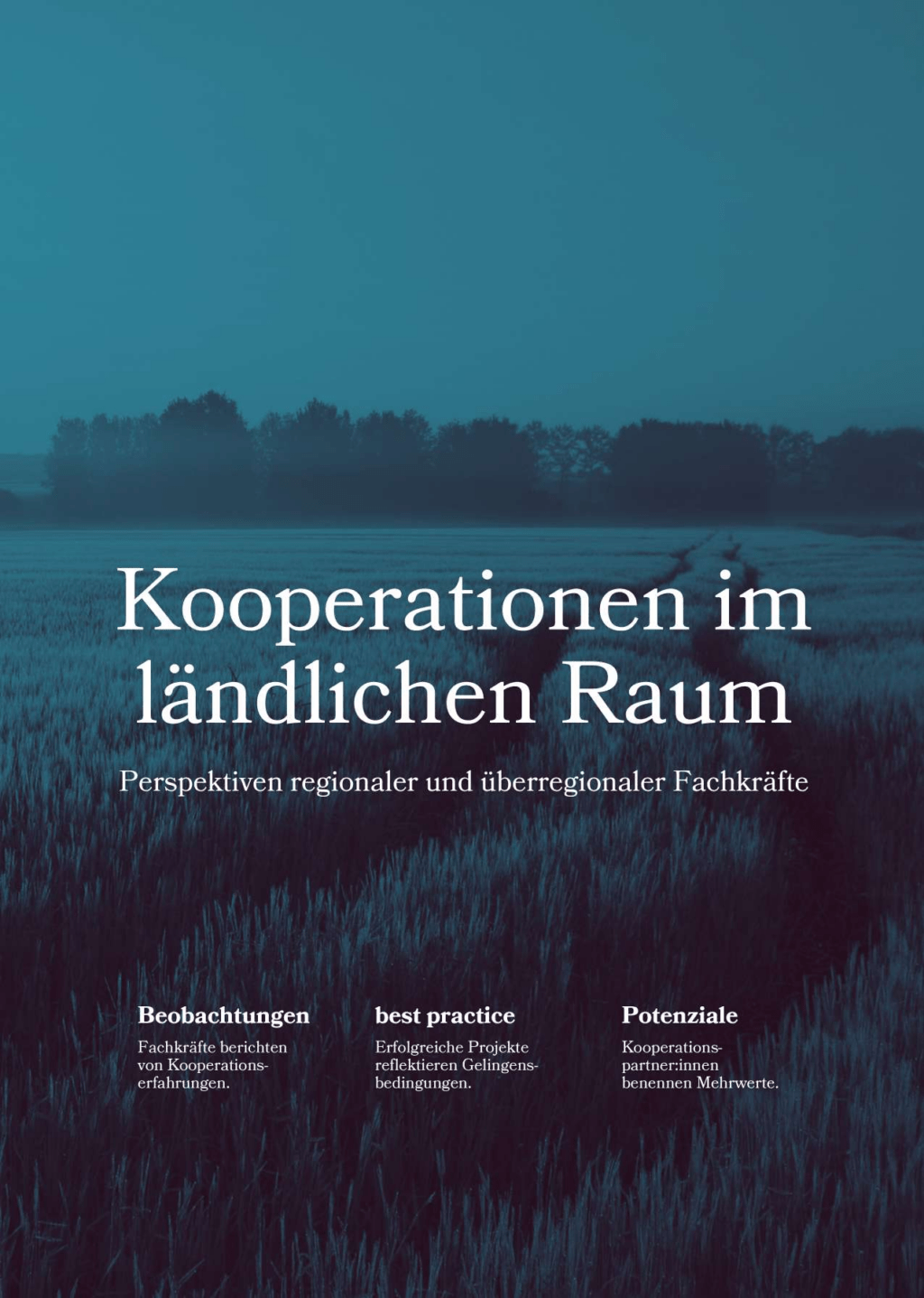 Cover von Kooperationen im ländlichen Raum. Perspektiven regionaler und überregionaler Fachkräfte