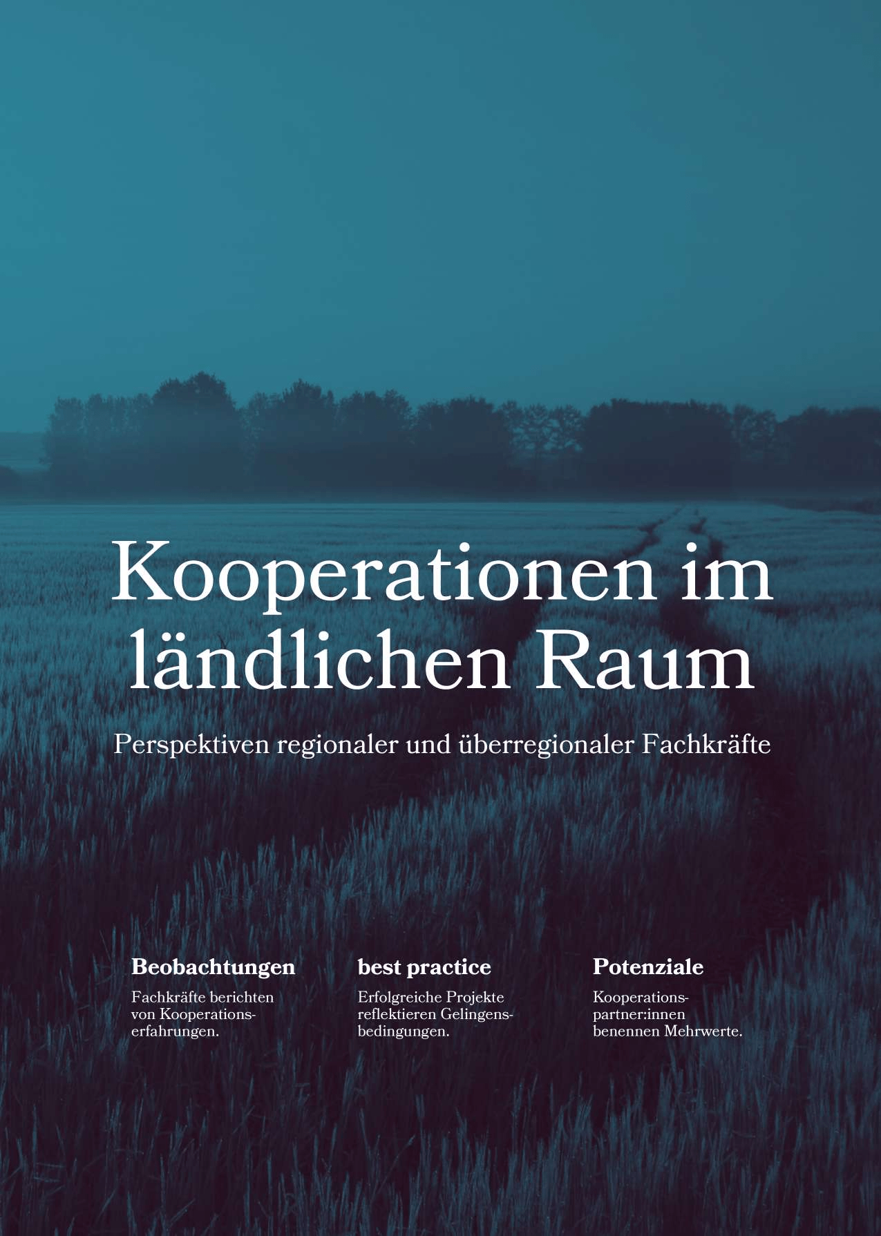 Cover von Kooperationen im ländlichen Raum. Perspektiven regionaler und überregionaler Fachkräfte