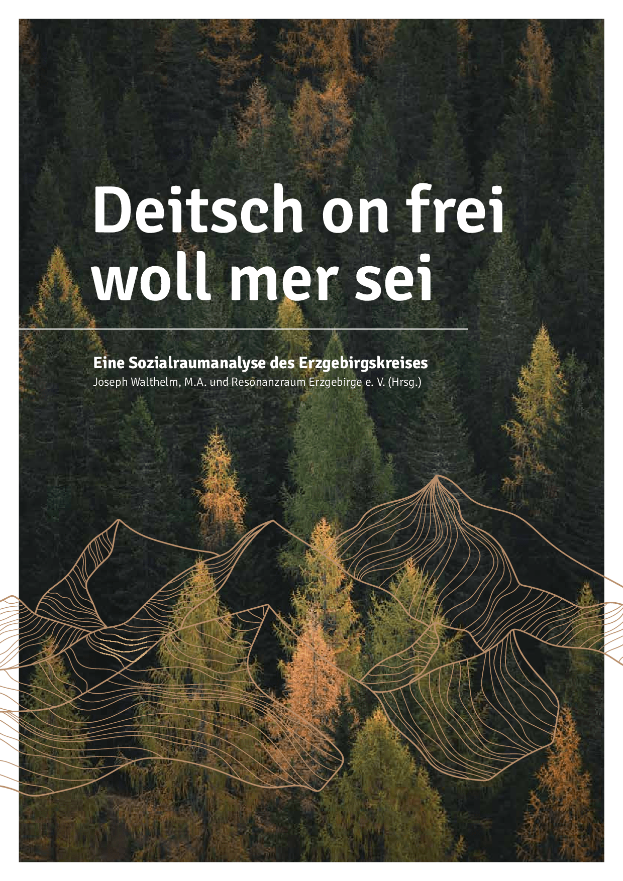 Cover von Deitsch on frei woll mer sei. Eine Sozialraumanalyse des Erzgebirgskreises