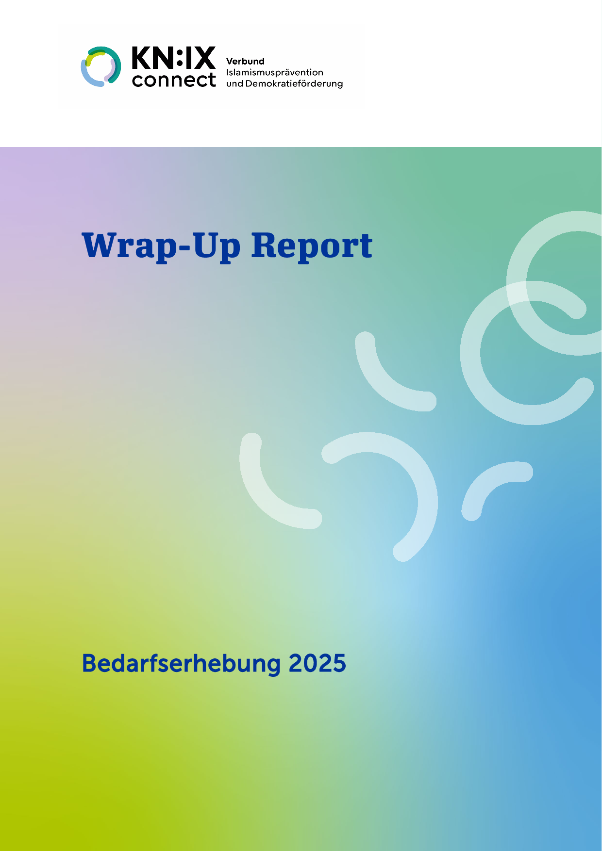 Cover von Wrap-Up Report. Bedarfserhebung 2025