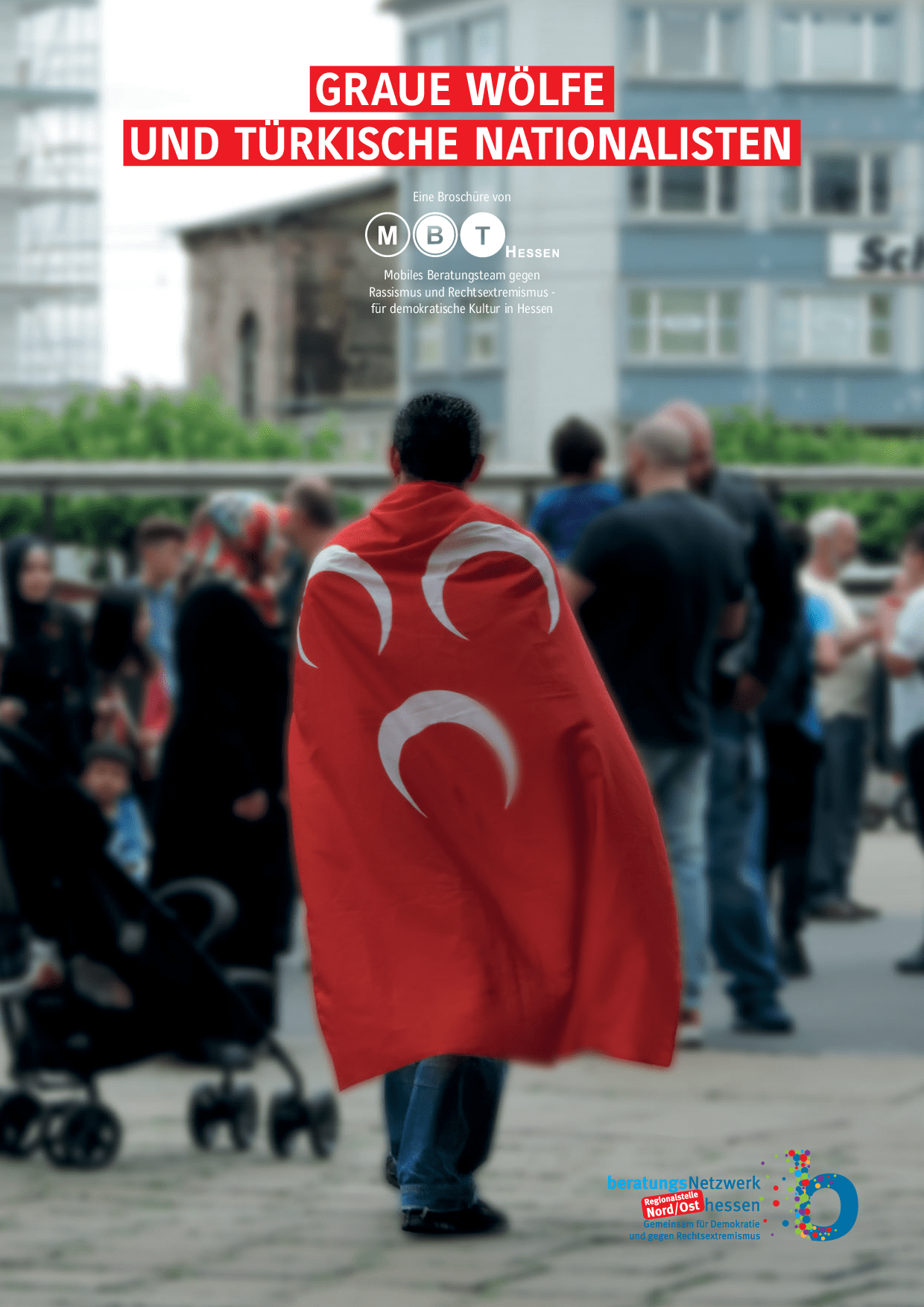 Cover von Graue Wölfe und türkische Nationalisten