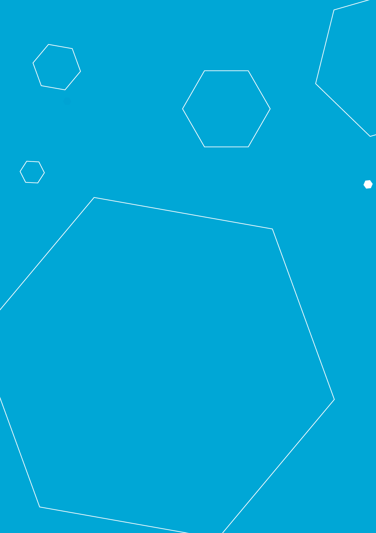 Cover von Abschlussbericht der Bundesprogramme "VIELFALT TUT GUT. Jugend für Vielfalt, Toleranz und Demokratie" und "kompetent. für Demokratie – Beratungsnetzwerke gegen Rechtsextremismus" Förderphase 2007 – 2010