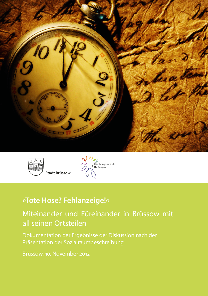 Cover von "Tote Hose? Fehlanzeige!" Miteinander und Füreinander in Brüssow mit all seinen Ortsteilen. Dokumentation der Ergebnisse der Diskussion nach der Präsentation der Sozialraumbeschreibung