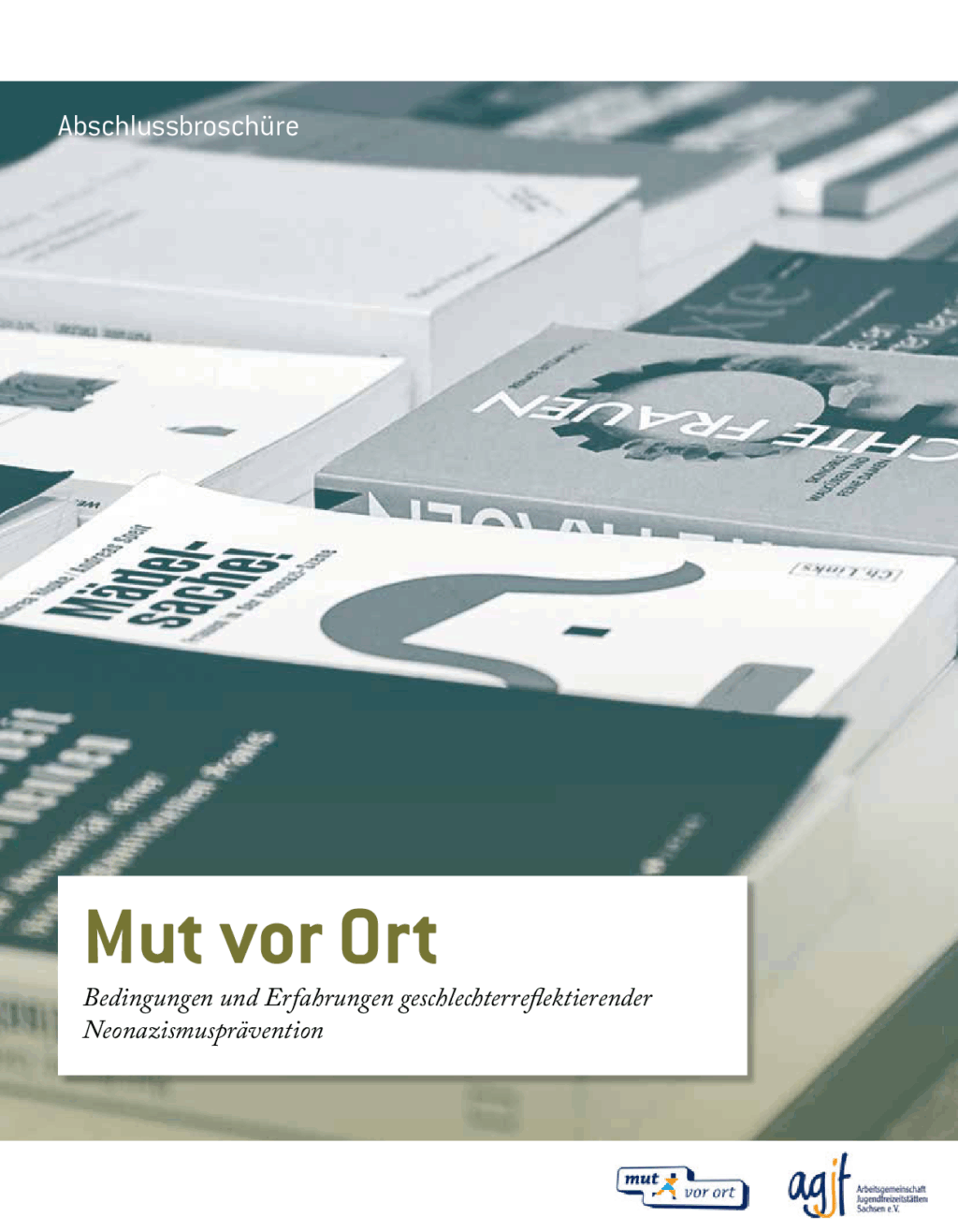 Cover von Mut vor Ort. Bedingungen und Erfahrungen geschlechterreflektierender Neonazismusprävention