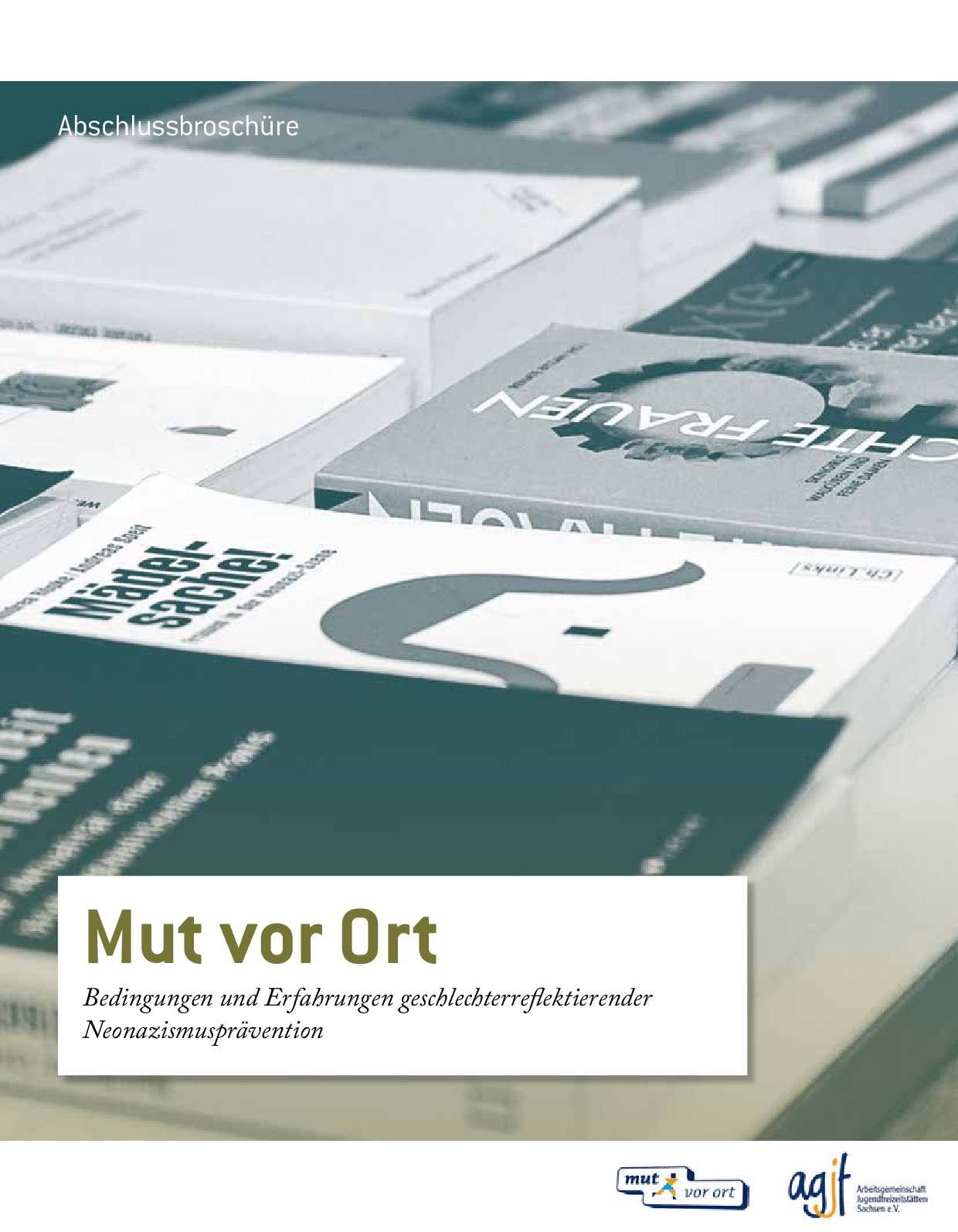 Cover von Mut vor Ort. Bedingungen und Erfahrungen geschlechterreflektierender Neonazismusprävention