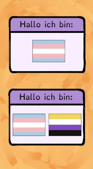Cover von Was ist trans*? Und warum ist nicht-binär manchmal mitgemeint?