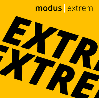 Cover von Türkischer Ultranationalismus – Herausforderung für die Prävention in Deutschland