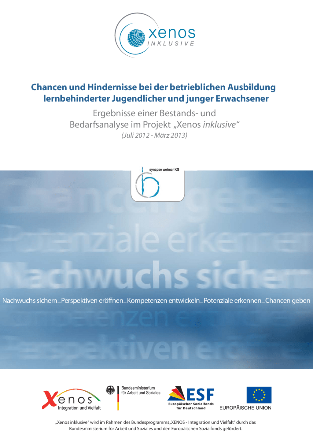 Cover von Chancen und Hindernisse bei der betrieblichen Ausbildung lernbehinderter Jugendlicher und junger Erwachsener. Ergebnisse eine Bestands- und Bedarfsanalyse im Projekt "Xenos inklusive" (Juli 2012 – März 2013)