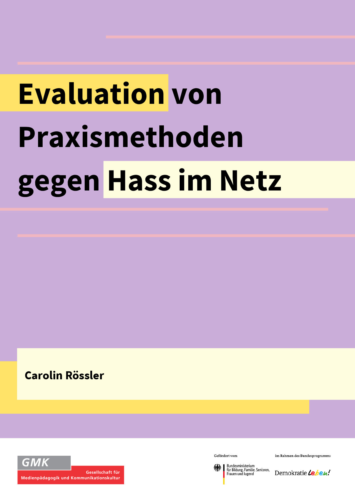 Cover von Evaluation von Praxismethoden gegen Hass im Netz