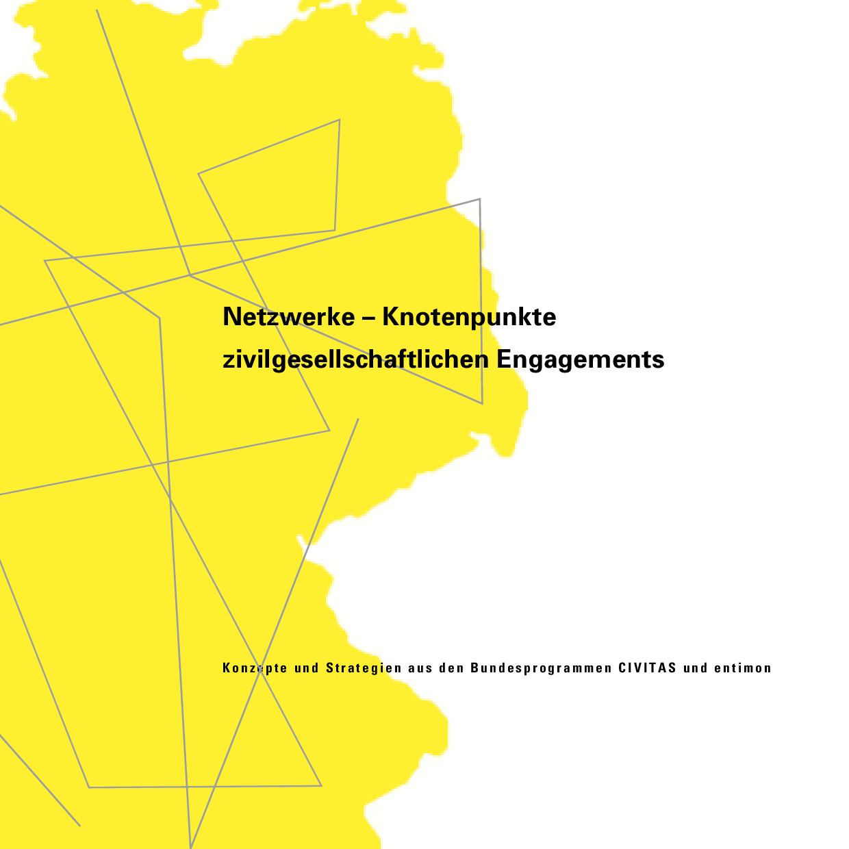 Cover von Netzwerke – Knotenpunkte zivilgesellschaftlichen Engagements. Konzepte und Strategien aus den Bundesprogrammen CIVITAS und entimon