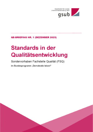 Cover von Standards in der Qualitätsentwicklung. Sondervorhaben Fachstelle Qualität (FSQ) im Bundesprogramm "Demokratie leben!". Qe-Briefing Nr. 1 (Dezember 2025)