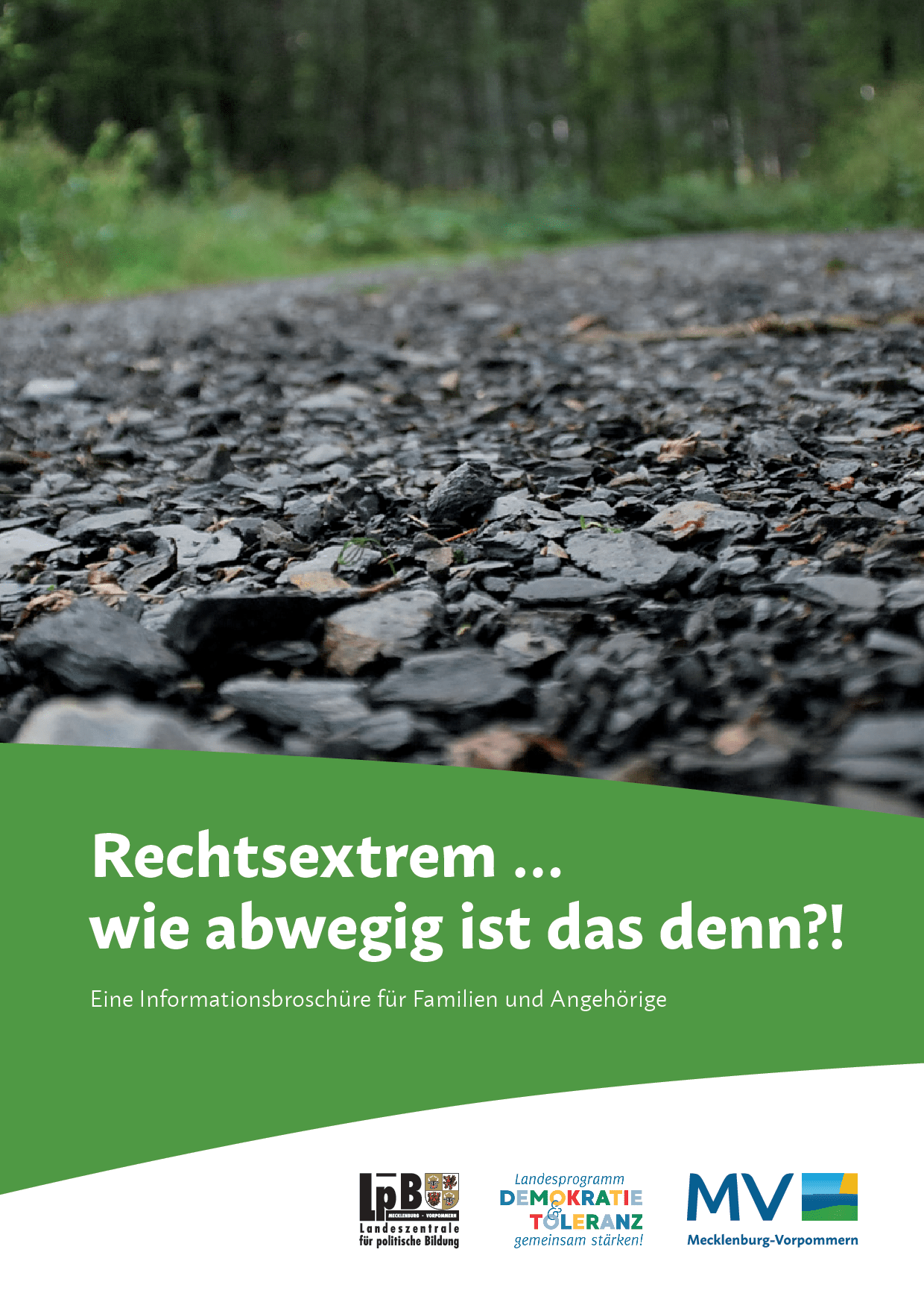 Cover von Aufl. Rechtsextrem… wie abwegig ist das denn?! Eine Informationsbroschüre für Familien und Angehörige