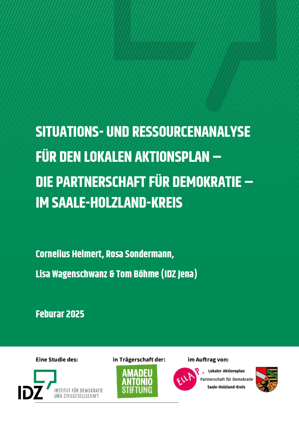 Cover von Situations- und Ressourcenanalyse für den Lokalen Aktionsplan – Partnerschaft für Demokratie – im Saale-Holzland-Kreis