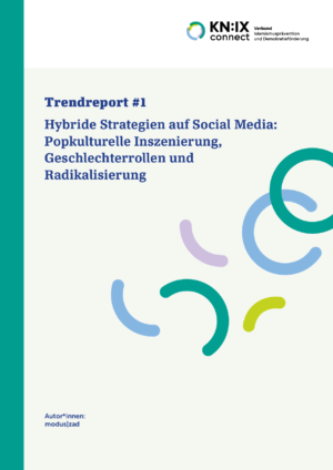 Cover von Trendreport #1: Hybride Strategien auf Social Media: Popkulturelle Inszenierung, Geschlechterrollen und Radikalisierung