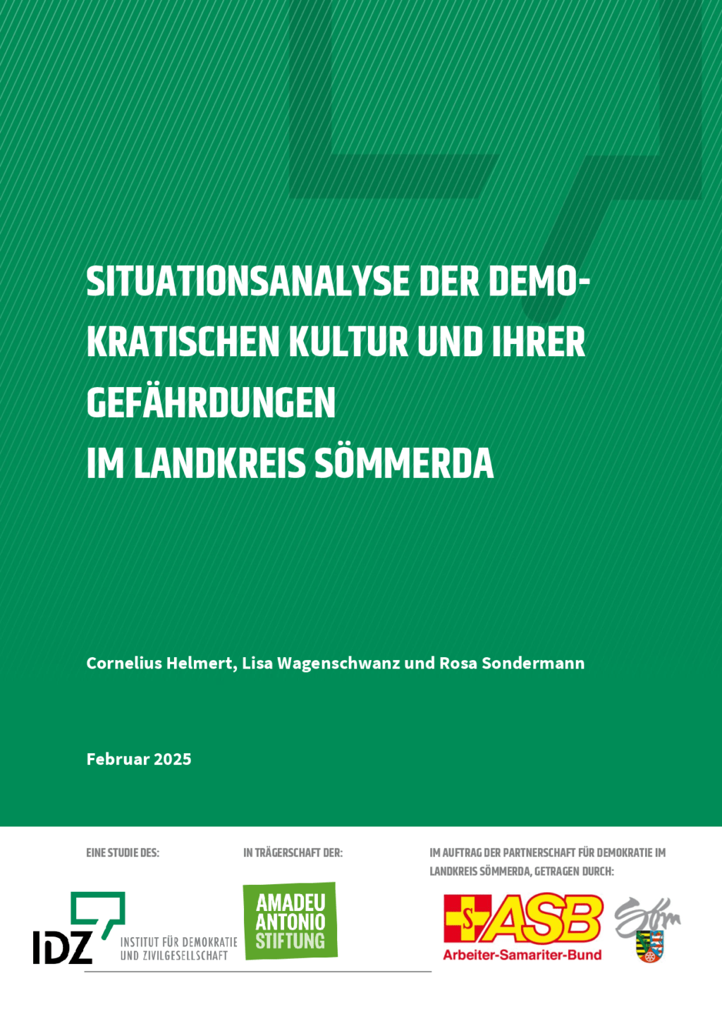 Cover von Siuationsanalyse der demokratischen Kultur und ihrer Gefährdungen im Landkreis Sömmerda