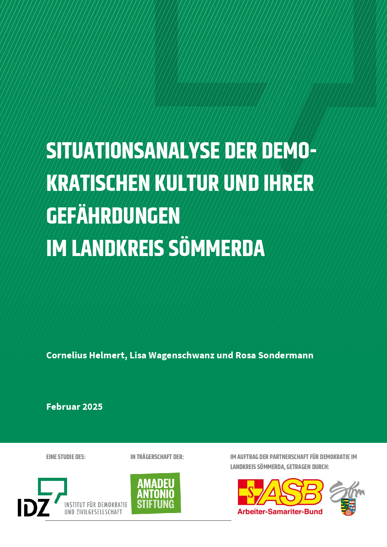 Cover von Siuationsanalyse der demokratischen Kultur und ihrer Gefährdungen im Landkreis Sömmerda
