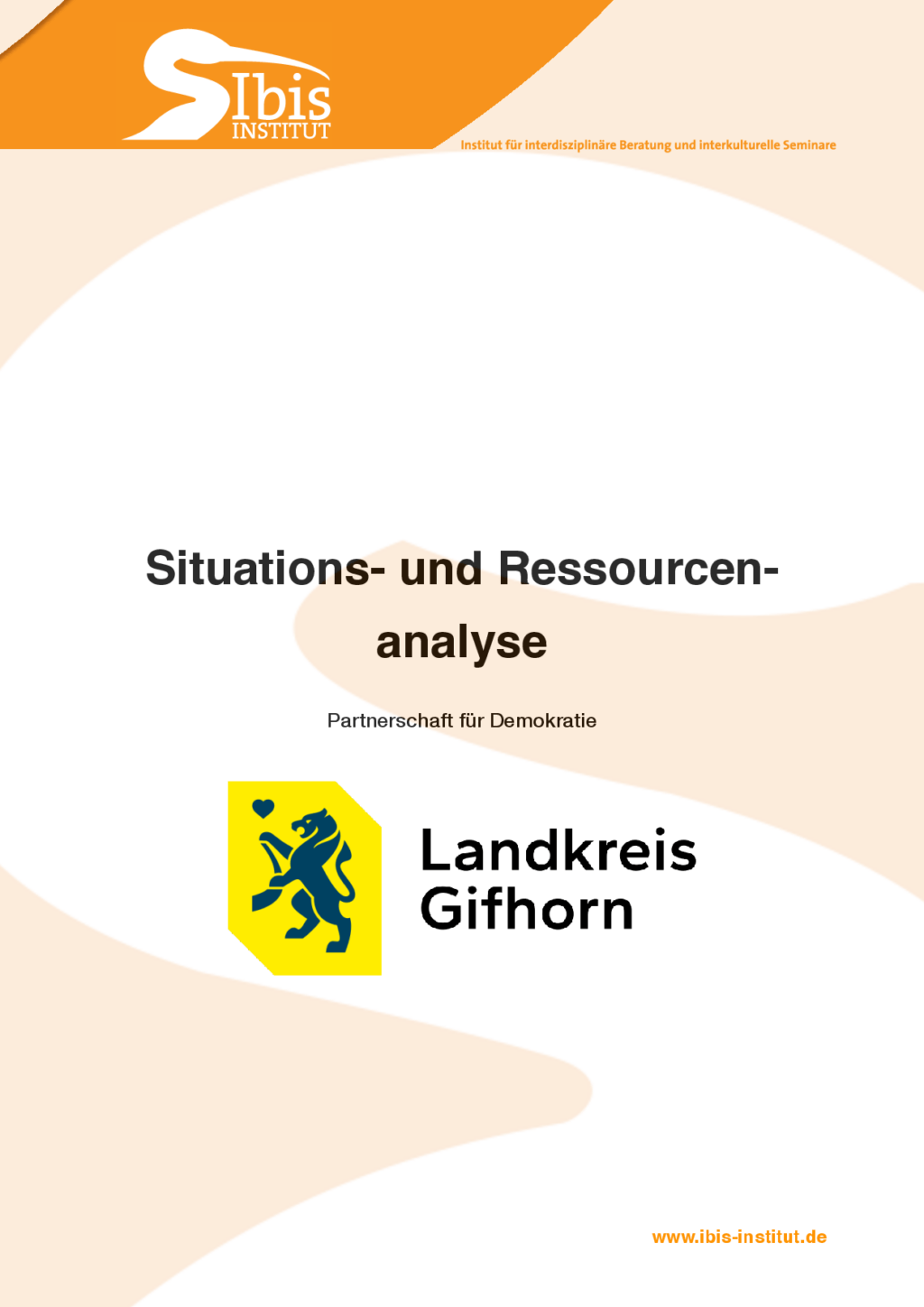 Cover von Situations- und Ressourcenanalyse für die Partnerschaft für Demokratie im Landkreis Gifhorn