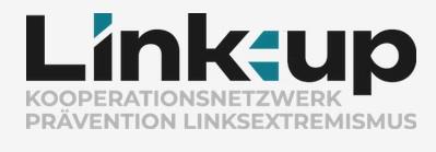 Cover von Link:Up